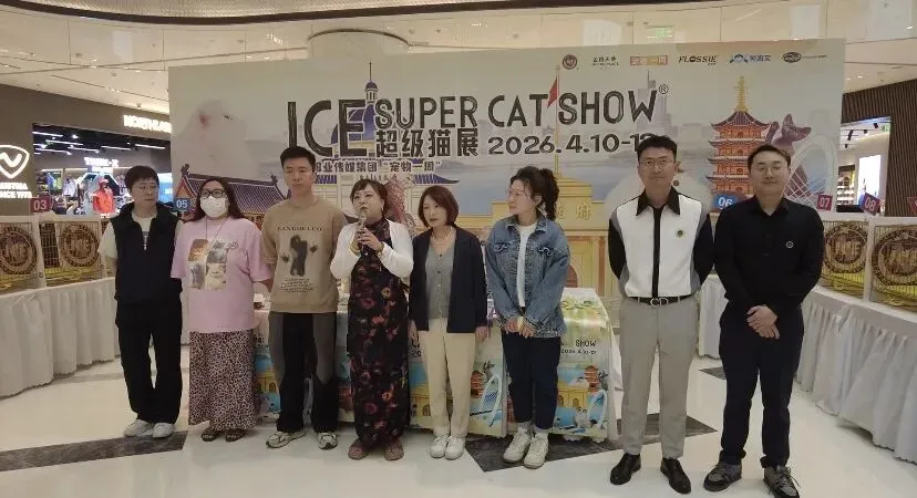 谁说南京市场不好?这场比赛,让我们看到了猫赛的魂!