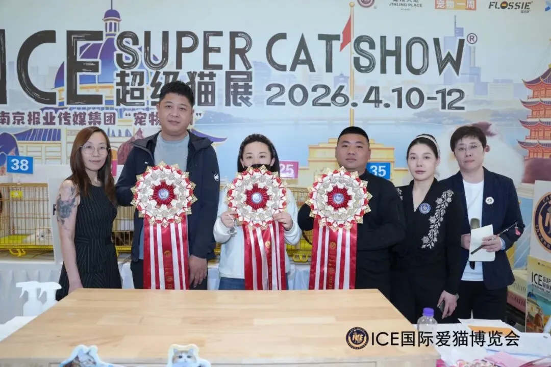 谁说南京市场不好?这场比赛,让我们看到了猫赛的魂!