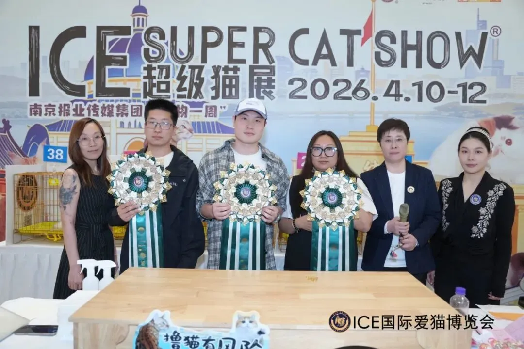 谁说南京市场不好?这场比赛,让我们看到了猫赛的魂!