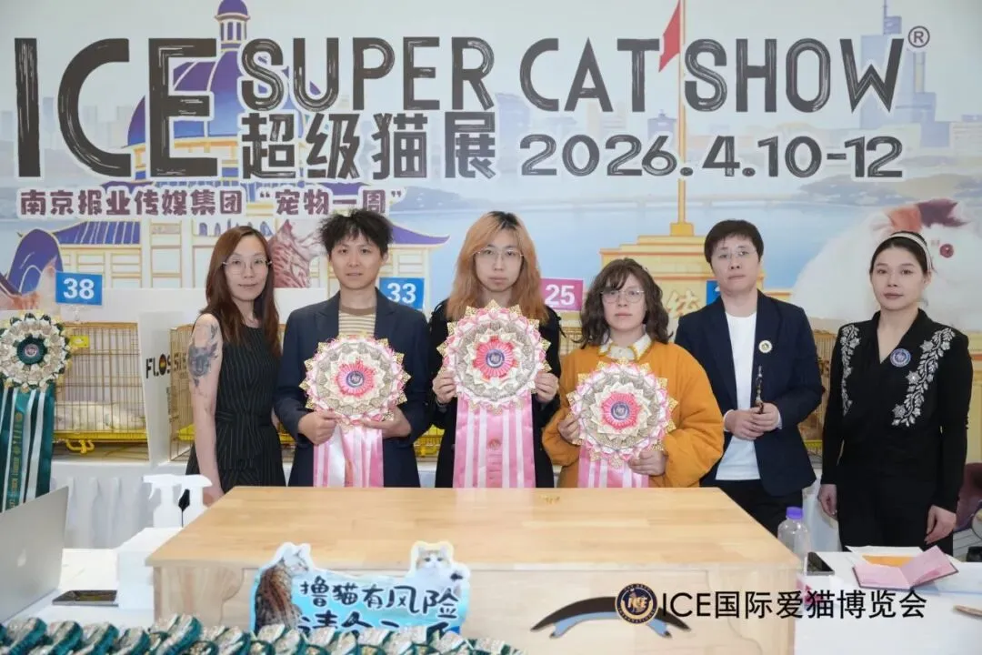 谁说南京市场不好?这场比赛,让我们看到了猫赛的魂!