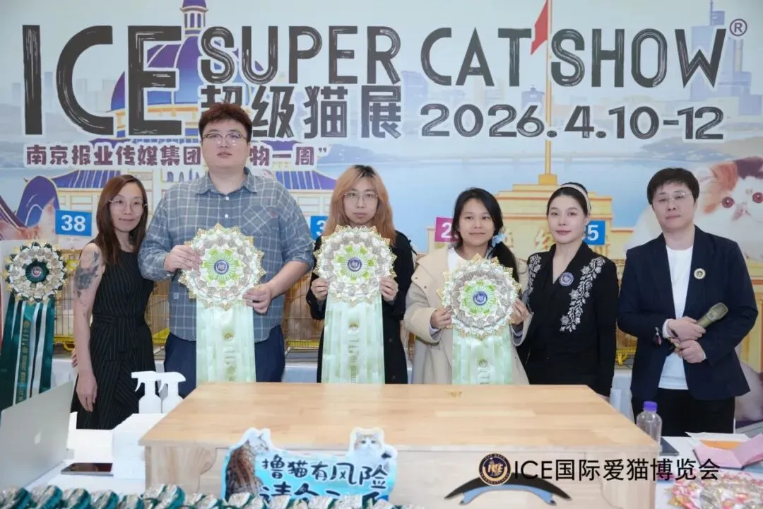 谁说南京市场不好?这场比赛,让我们看到了猫赛的魂!