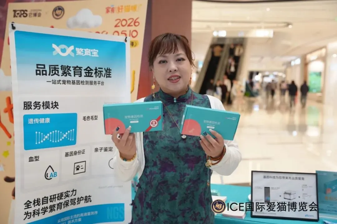 谁说南京市场不好?这场比赛,让我们看到了猫赛的魂!