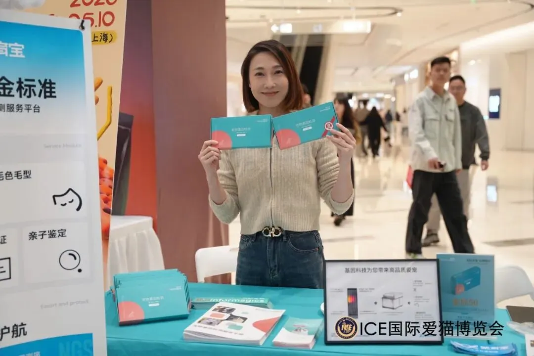 谁说南京市场不好?这场比赛,让我们看到了猫赛的魂!