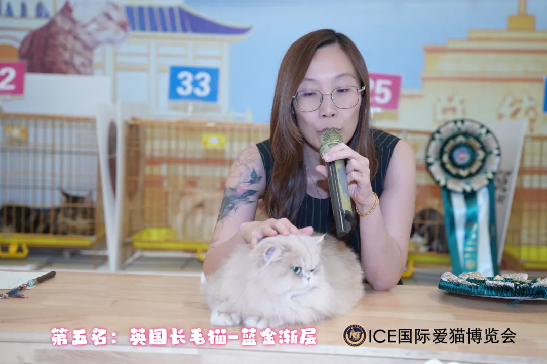 谁说南京市场不好?这场比赛,让我们看到了猫赛的魂!