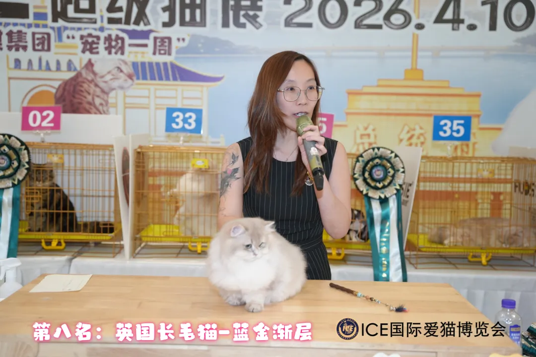 谁说南京市场不好?这场比赛,让我们看到了猫赛的魂!