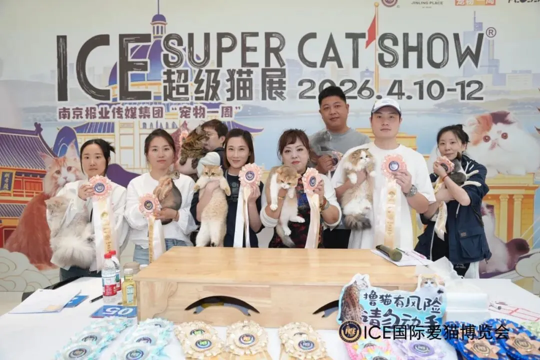 谁说南京市场不好?这场比赛,让我们看到了猫赛的魂!