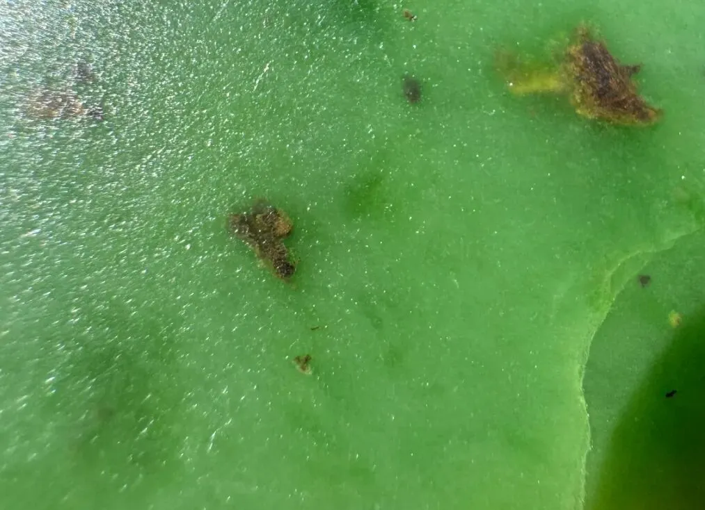 关于碧玉子料,市场上的那些“仿冒”品