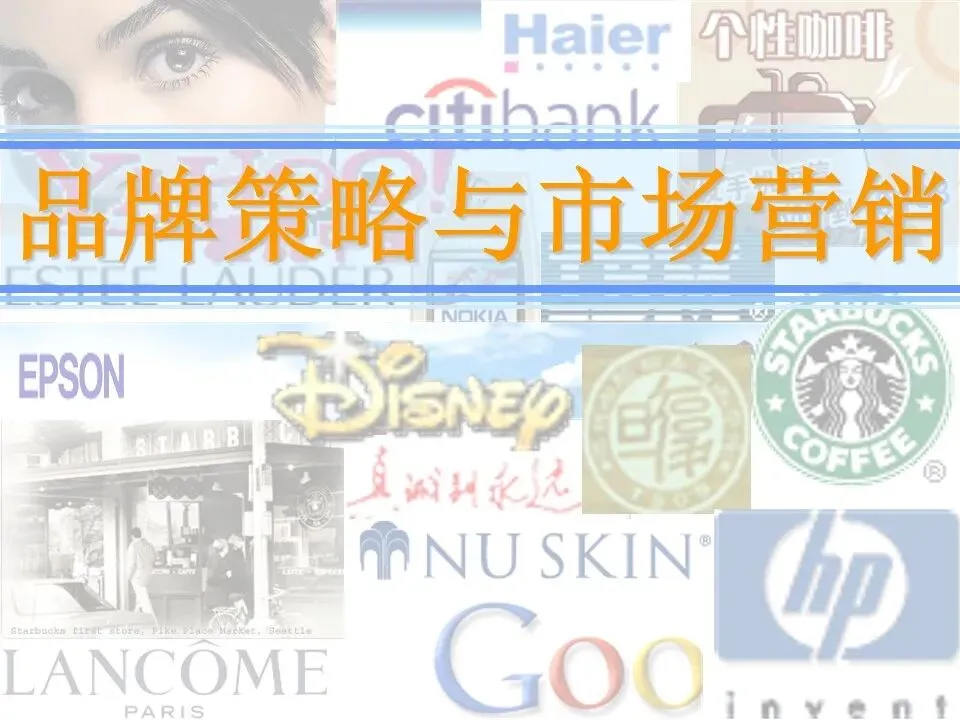 品牌策略与市场营销 | 105页