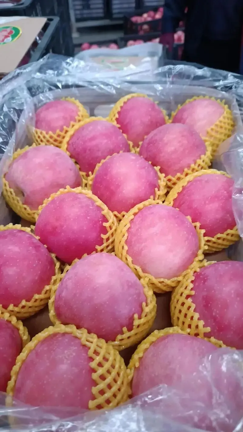 冷库苹果销售给果农们狠狠上了一课,如何解决今年春天苹果难卖问题