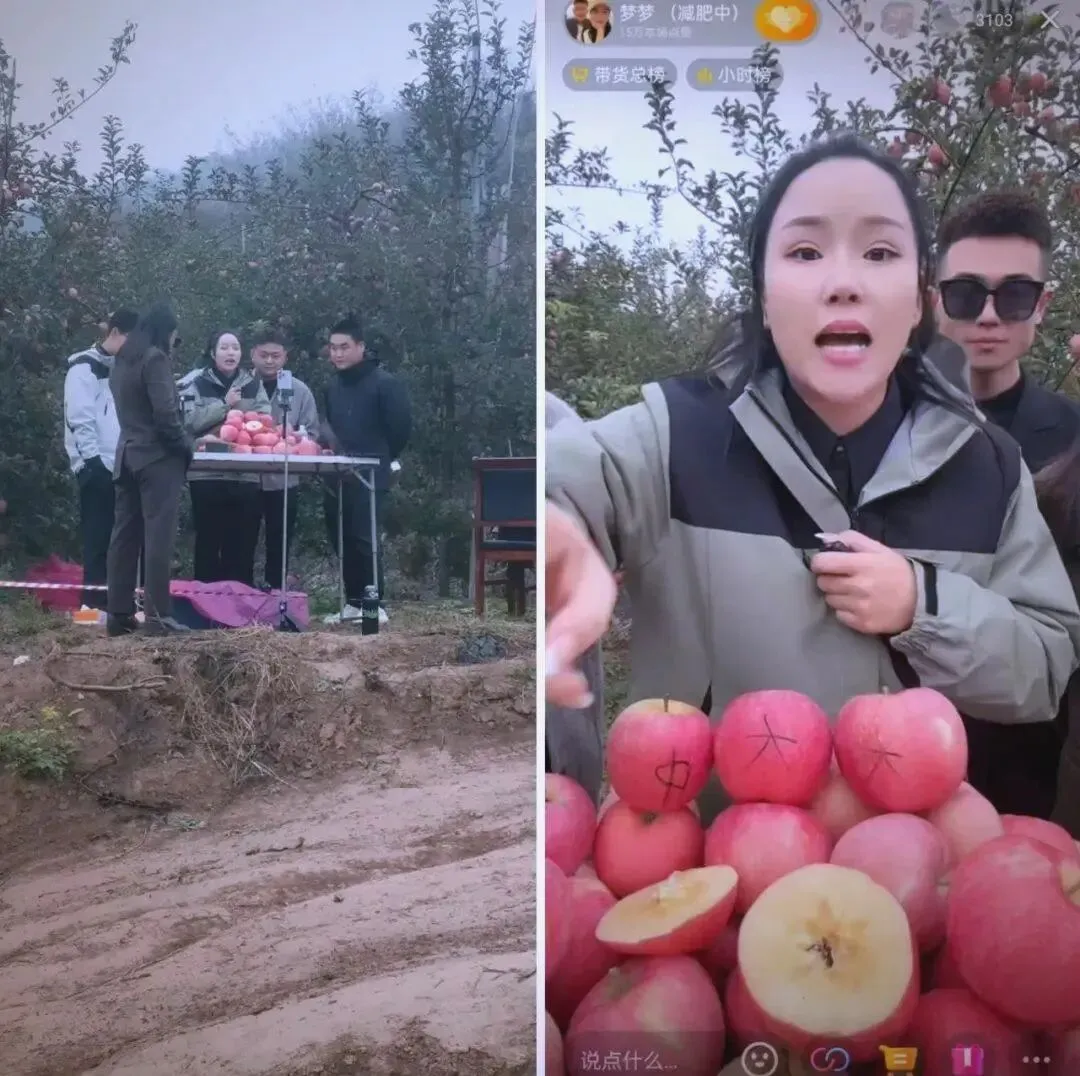 冷库苹果销售给果农们狠狠上了一课,如何解决今年春天苹果难卖问题