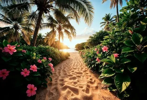 2026市场监管红榜 | 海南十大诚信旅行|A级信用认证,零投诉纯玩服务