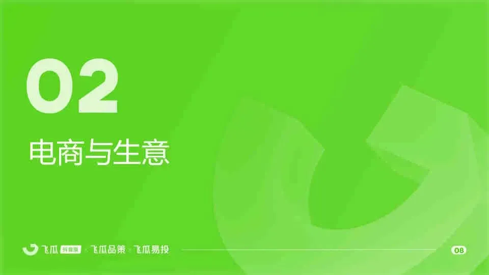 2025年度飞瓜抖音电商生态与营销投放报告
