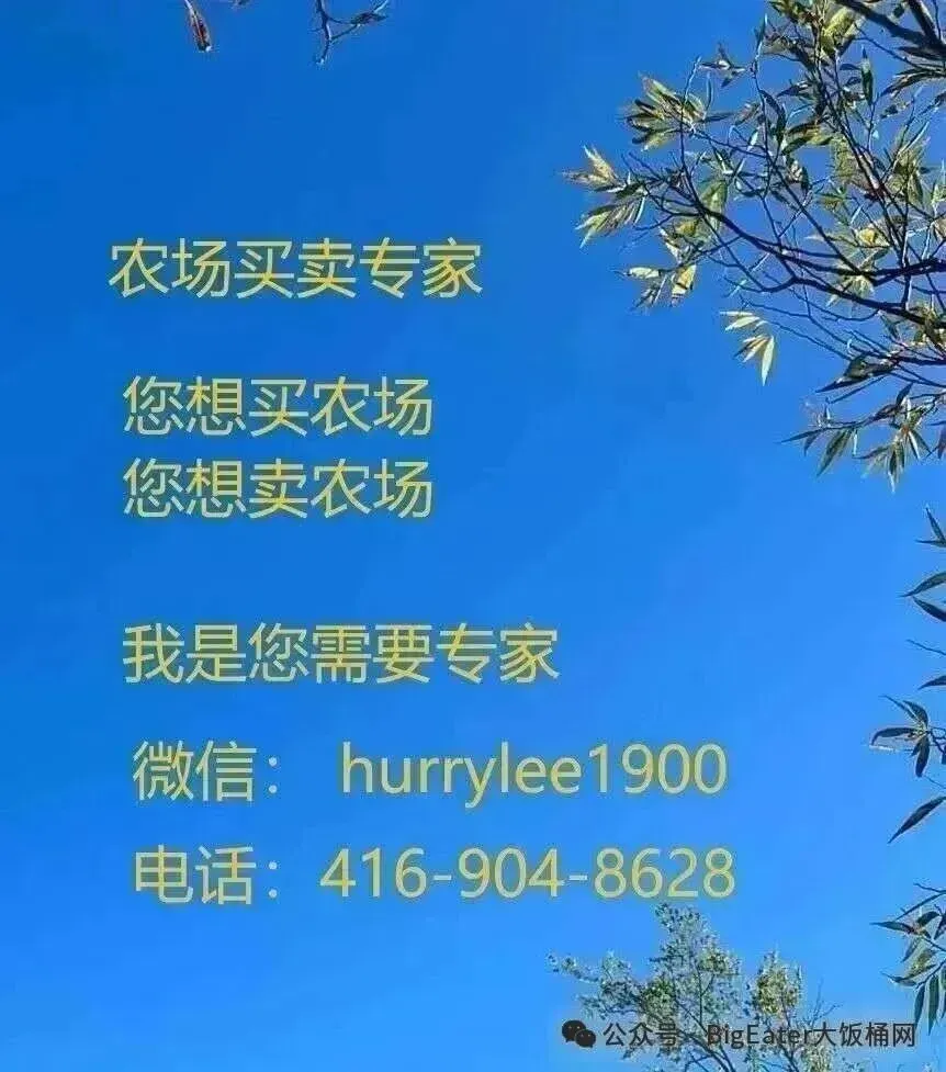 突发:安省新房市场出现“爆发式反弹”