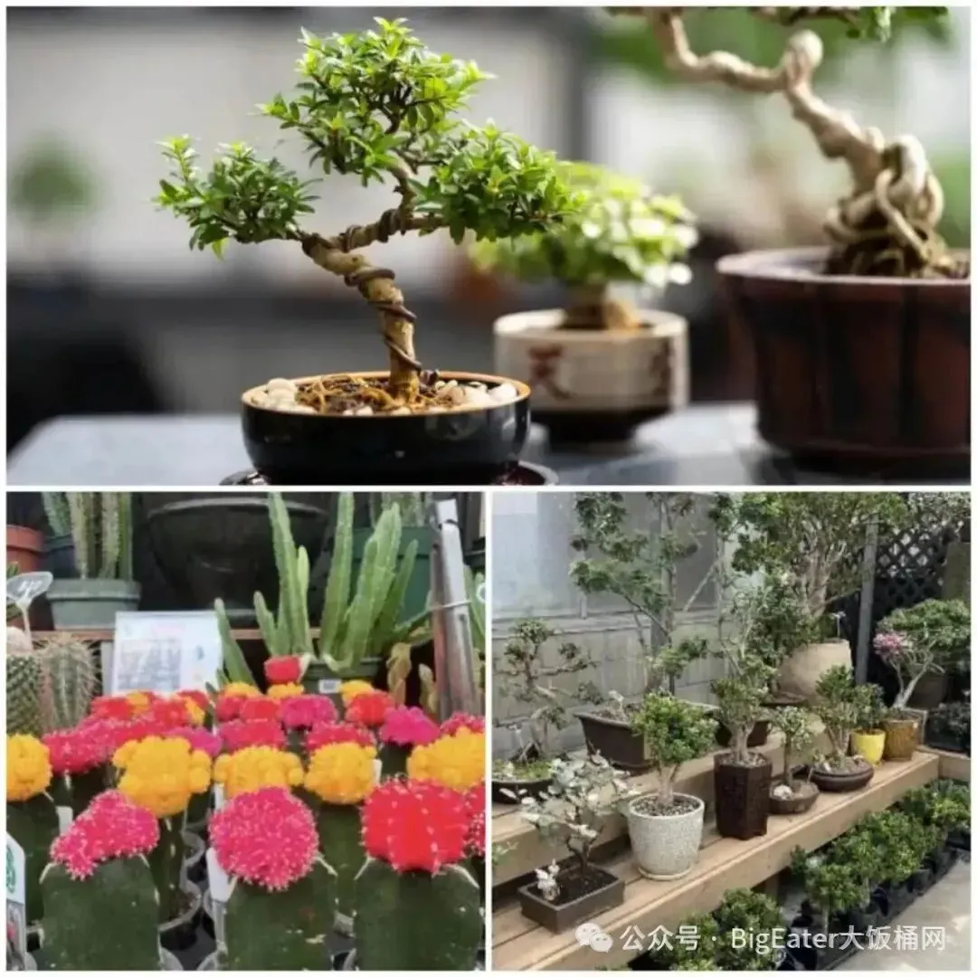 突发:安省新房市场出现“爆发式反弹”