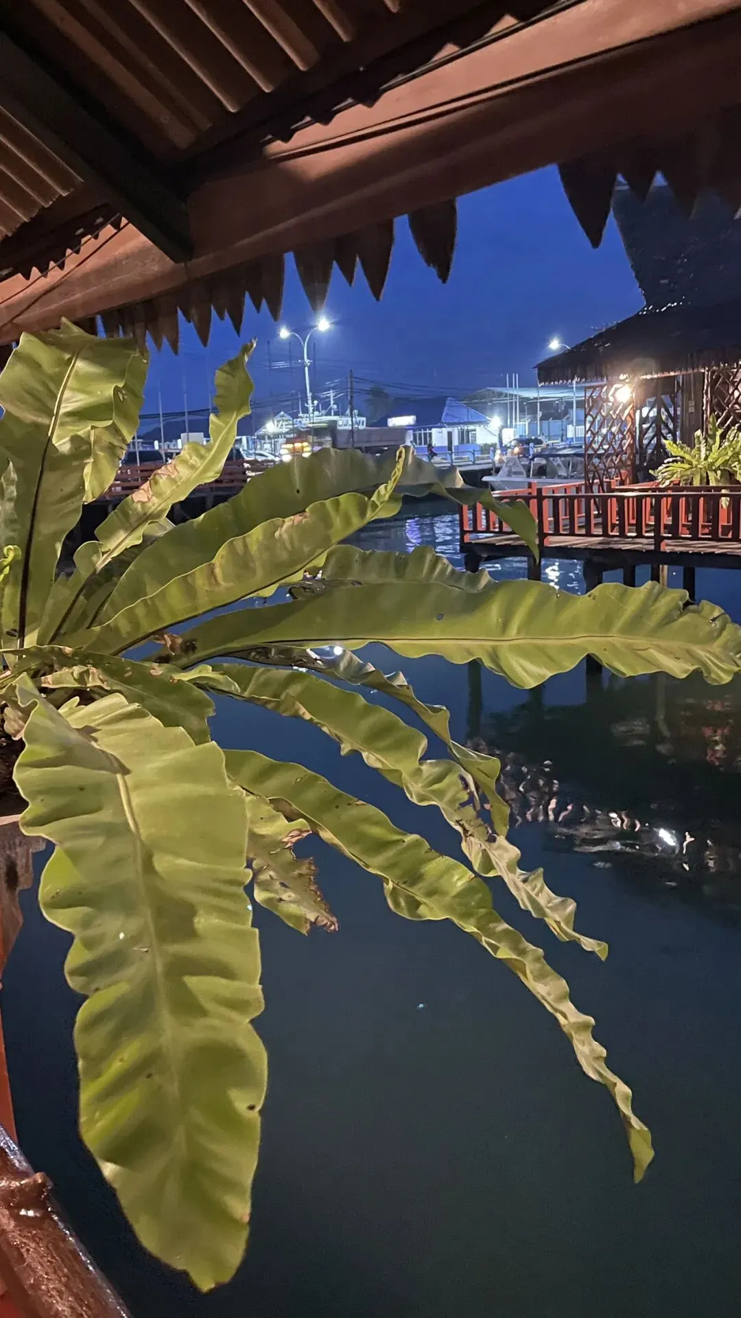 仙 本 那 海 鲜 市场