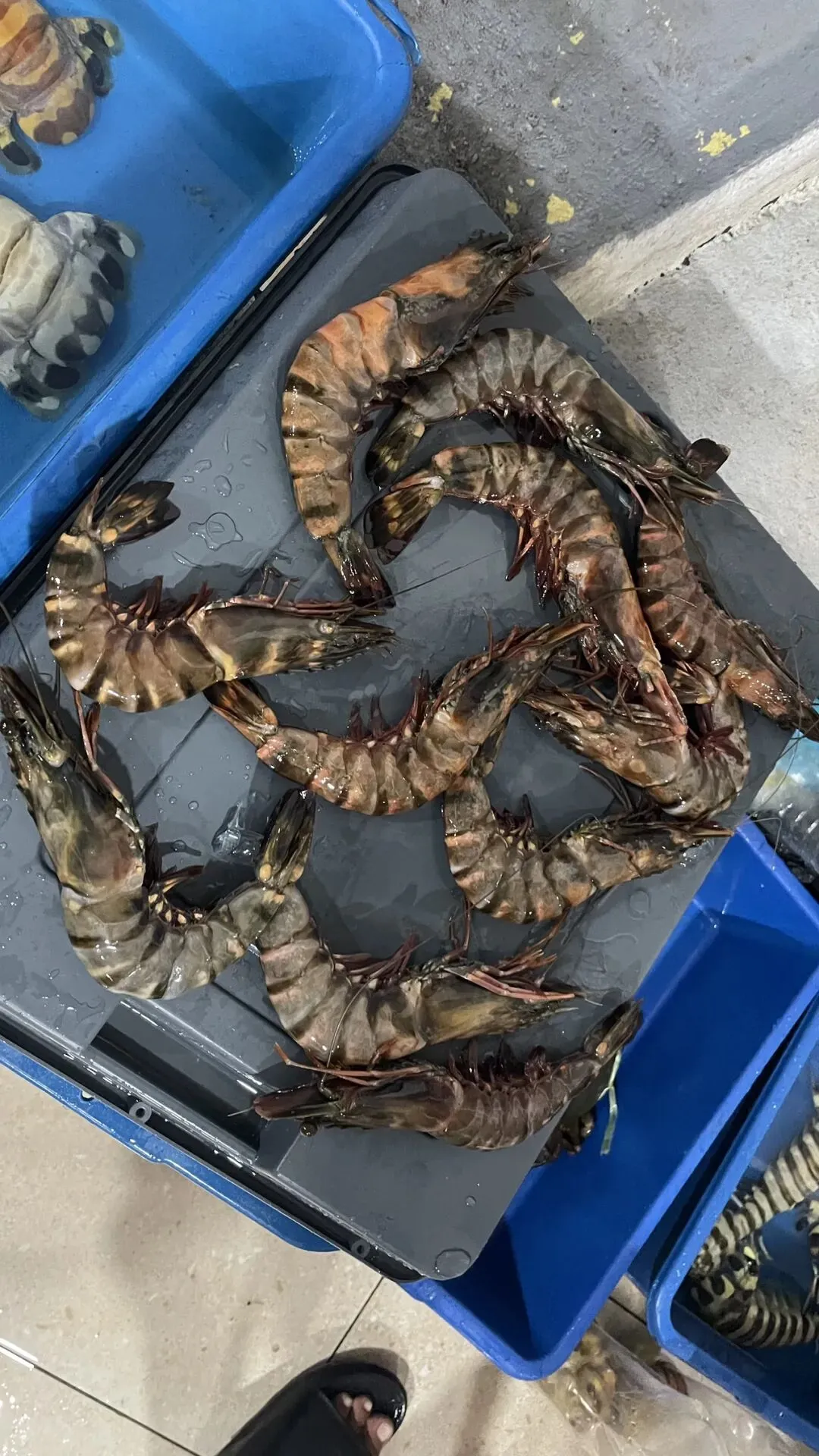 仙 本 那 海 鲜 市场