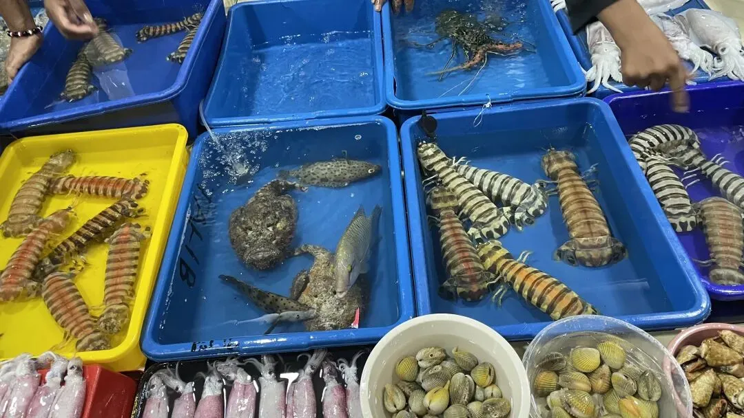 仙 本 那 海 鲜 市场