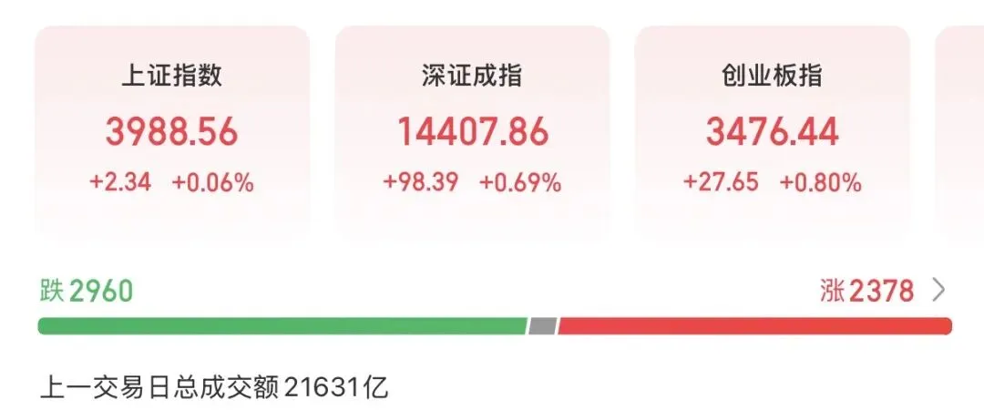 回归市场,回归业绩