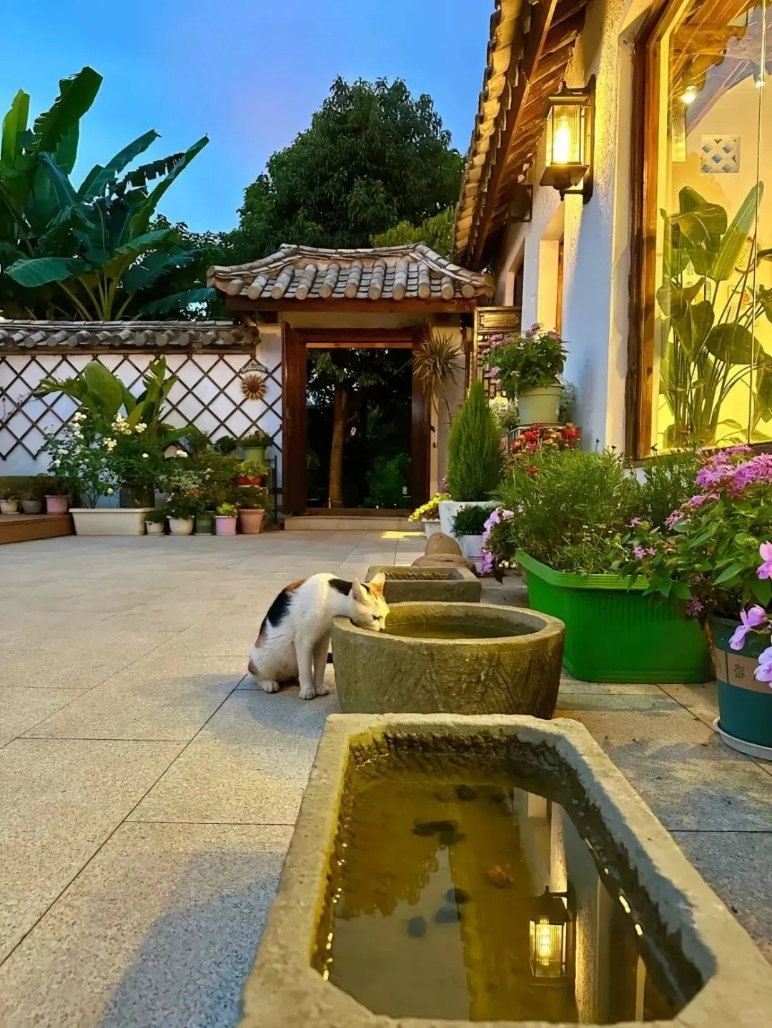 在建材市场遇到一对纠结买哪种防腐木的夫妻,我忍不住插了一嘴,跟他们讲了天然木和塑木的区别,结局大反转!