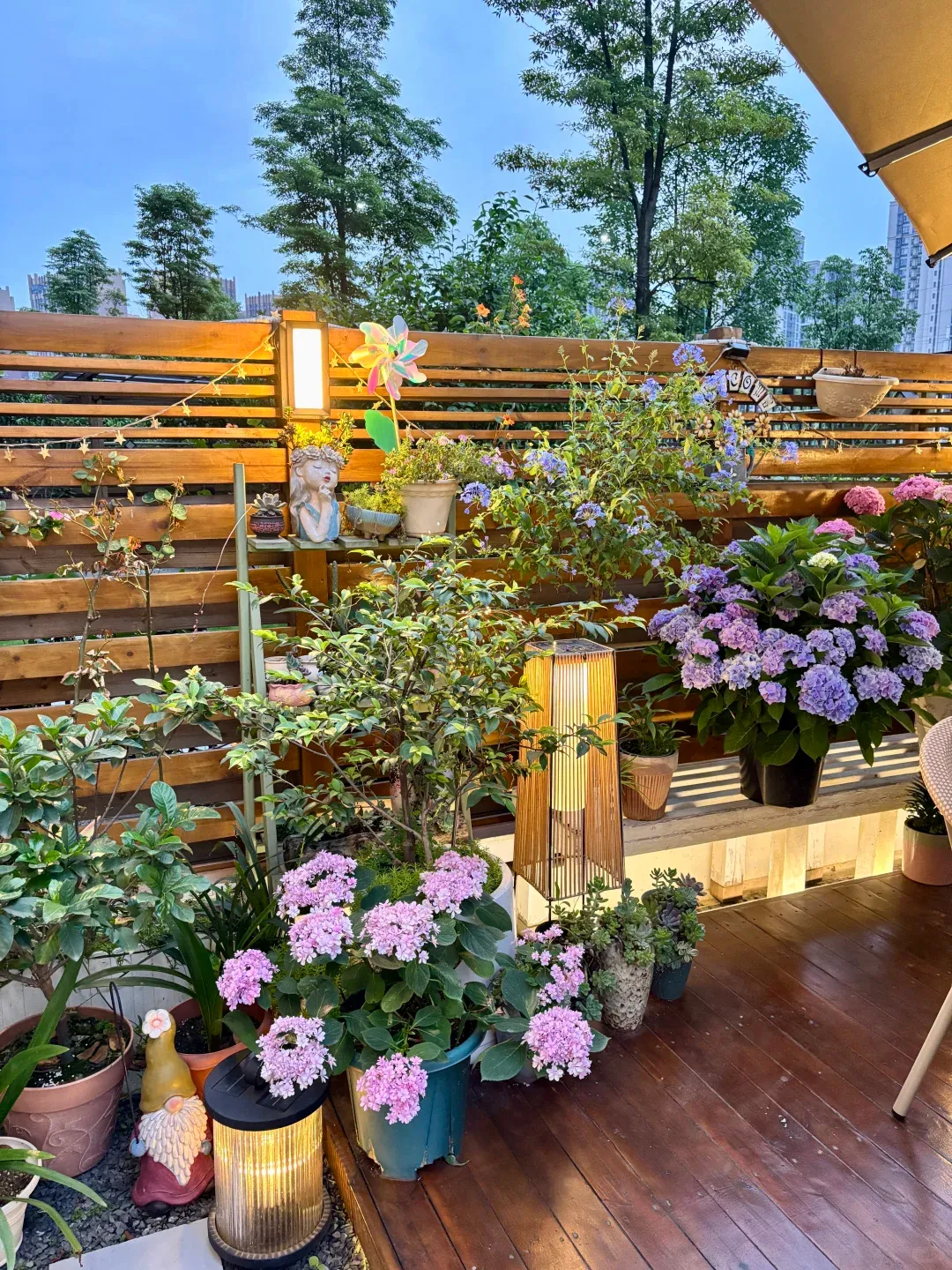 在建材市场遇到一对纠结买哪种防腐木的夫妻,我忍不住插了一嘴,跟他们讲了天然木和塑木的区别,结局大反转!