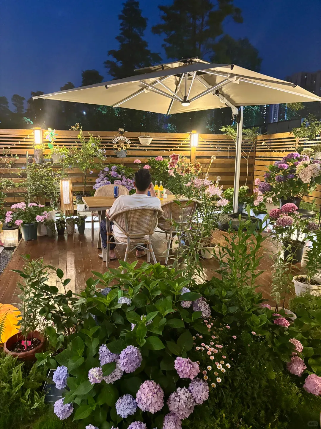 在建材市场遇到一对纠结买哪种防腐木的夫妻,我忍不住插了一嘴,跟他们讲了天然木和塑木的区别,结局大反转!