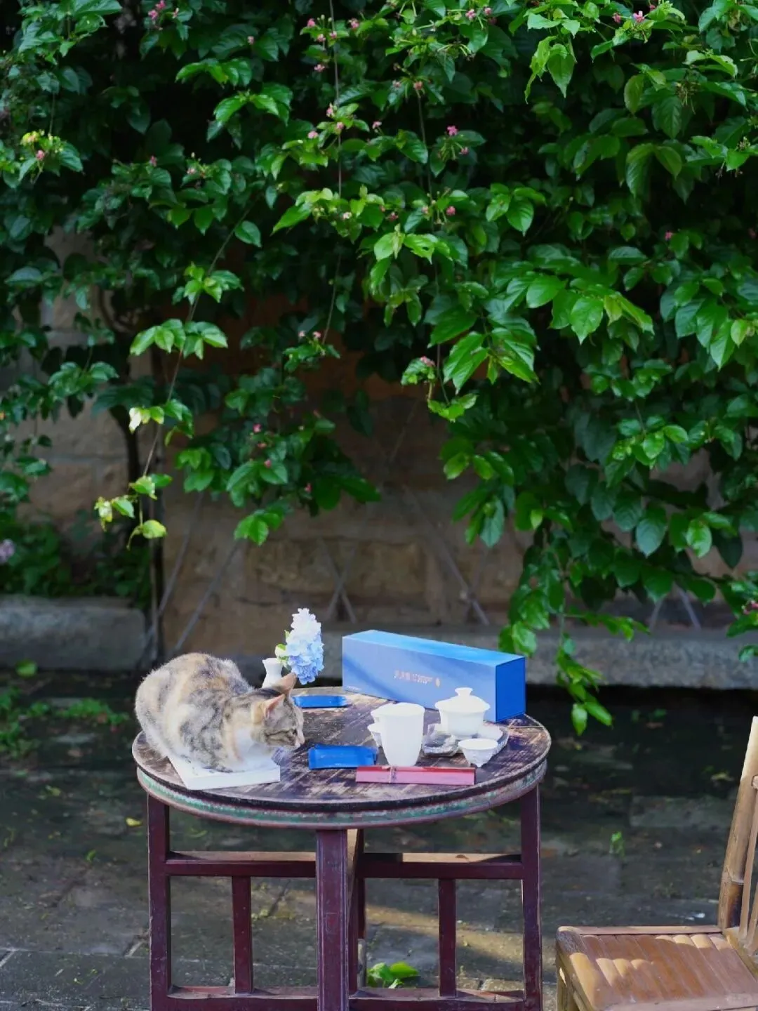 在建材市场遇到一对纠结买哪种防腐木的夫妻,我忍不住插了一嘴,跟他们讲了天然木和塑木的区别,结局大反转!