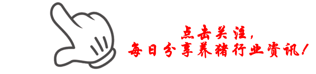 喂!猪价来了(4.14):国生猪市场呈现 “北稳南跌、区域分化、深度磨底” 格局,北稳南跌、高低价差达1–1.2元/斤……