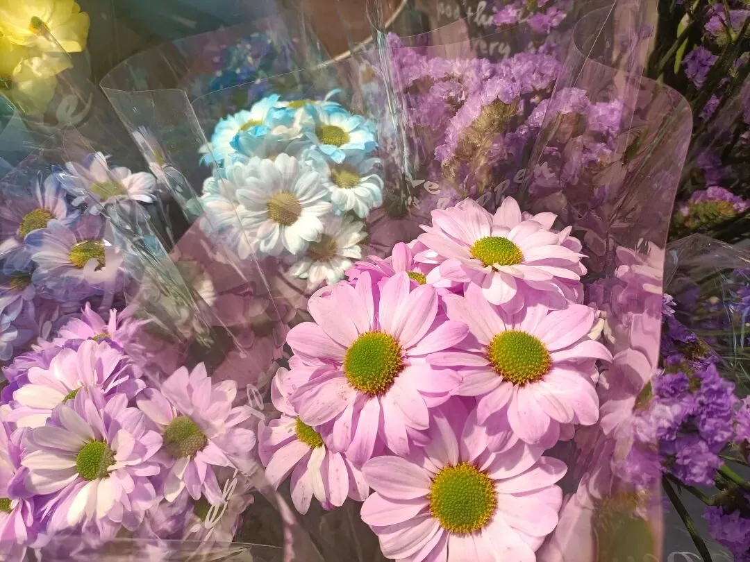 营销造富练功 day 4