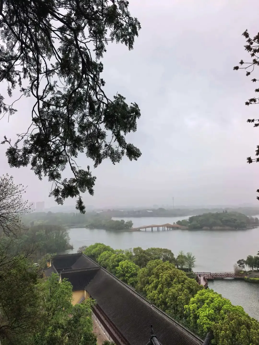 营销造富练功 day 4