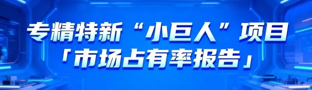 专精特新“小巨人”项目「市场占有率报告」撰写技巧分享(附教学指南下载)