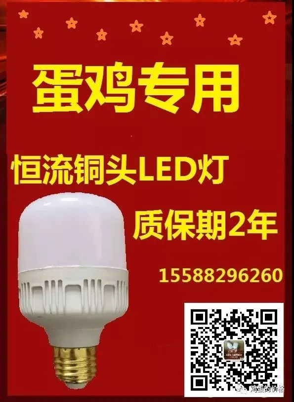 鸡蛋:市场在博弈,淘鸡在观望