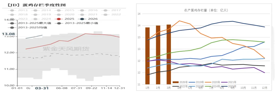 鸡蛋:市场在博弈,淘鸡在观望