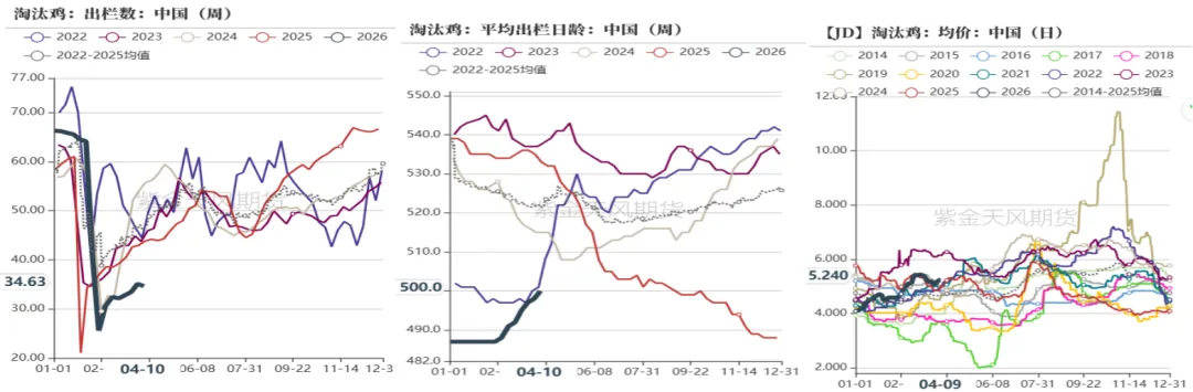 鸡蛋:市场在博弈,淘鸡在观望