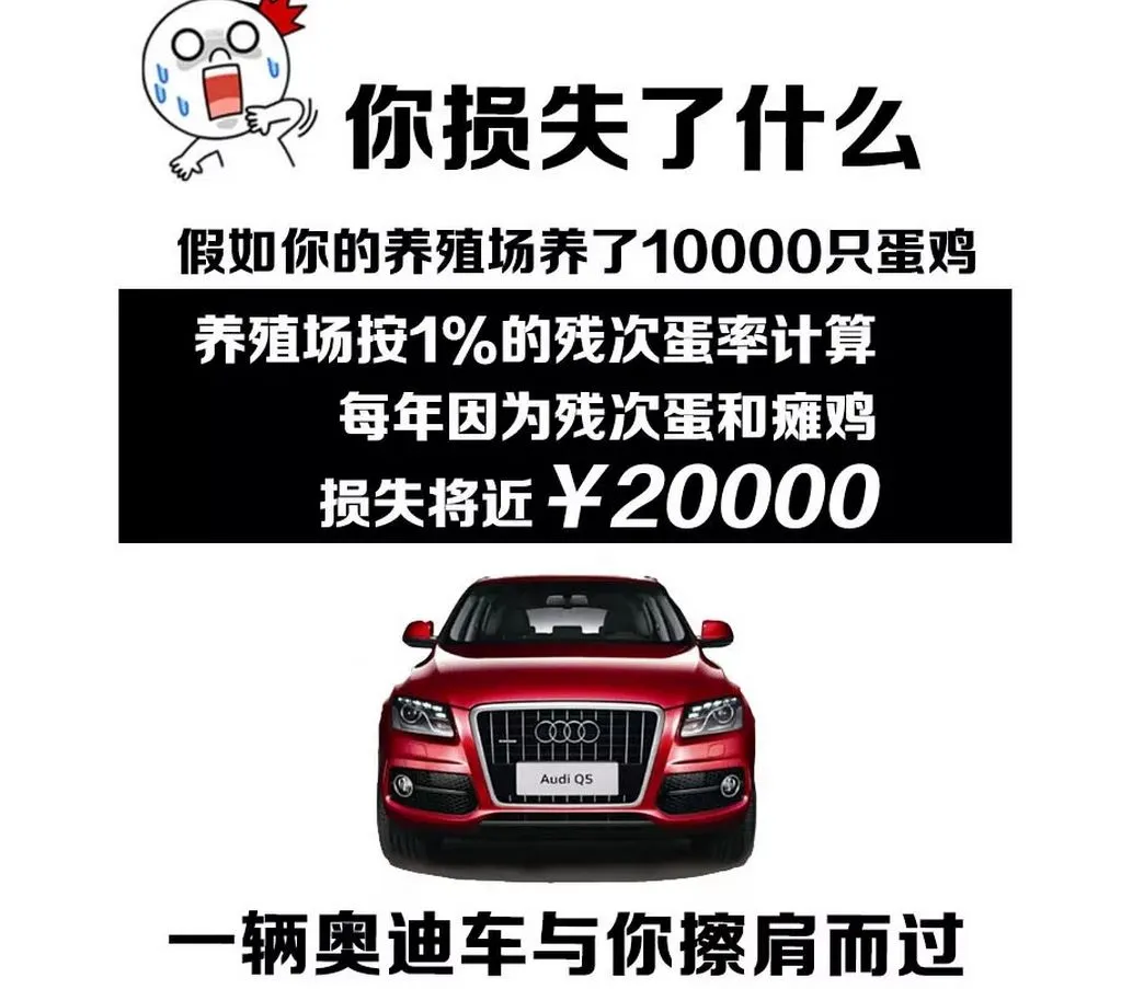 鸡蛋:市场在博弈,淘鸡在观望