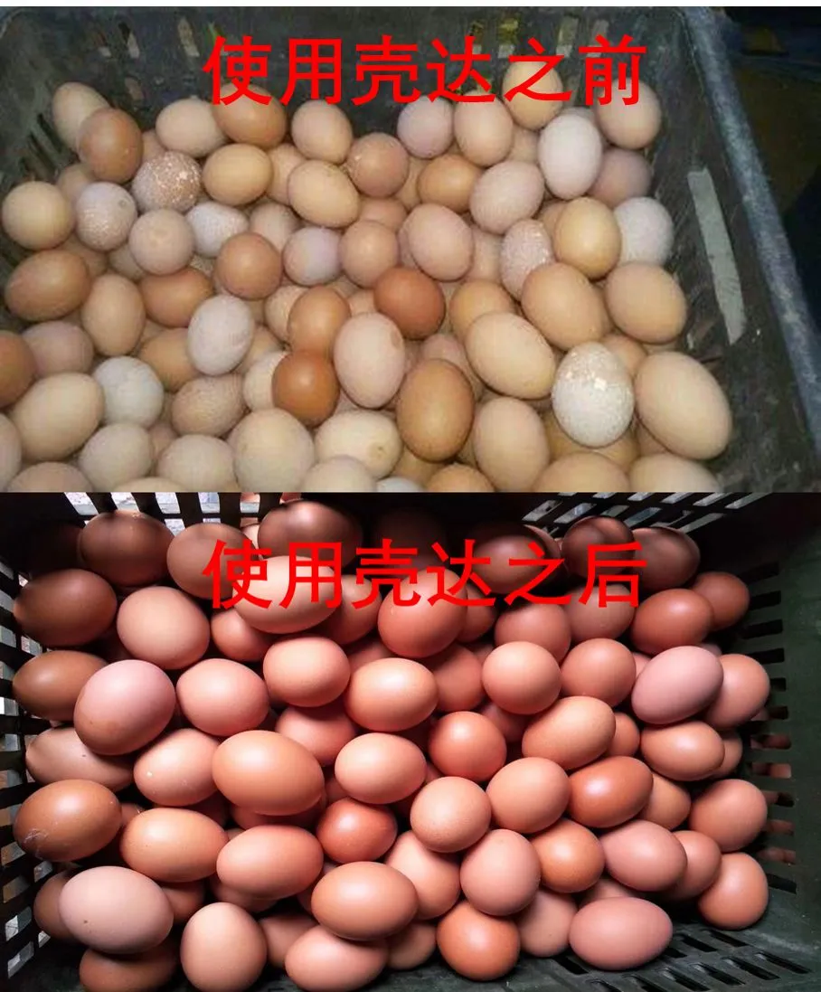 鸡蛋:市场在博弈,淘鸡在观望