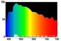 鸡蛋:市场在博弈,淘鸡在观望