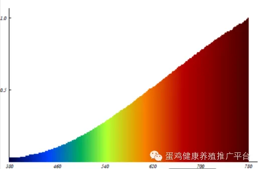 鸡蛋:市场在博弈,淘鸡在观望