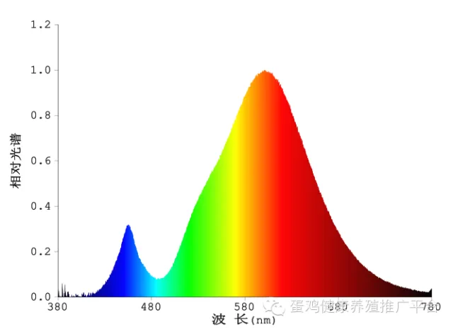鸡蛋:市场在博弈,淘鸡在观望