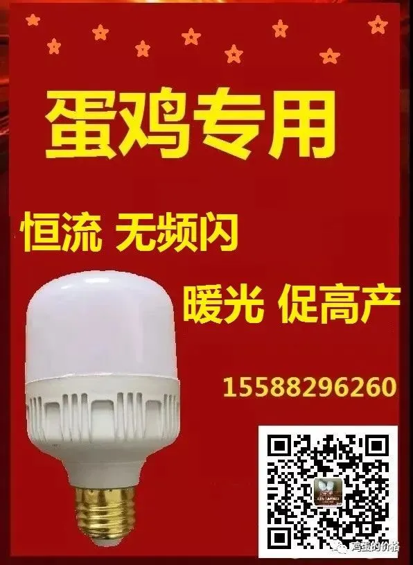 鸡蛋:市场在博弈,淘鸡在观望