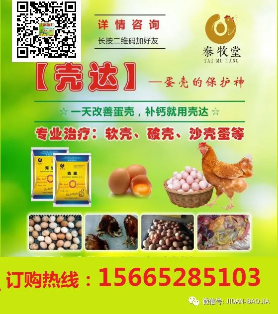 鸡蛋:市场在博弈,淘鸡在观望