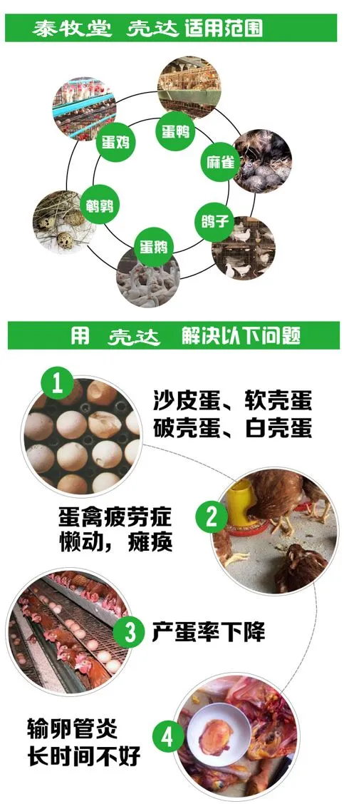 鸡蛋:市场在博弈,淘鸡在观望
