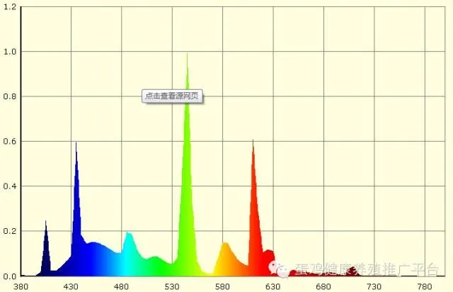 鸡蛋:市场在博弈,淘鸡在观望