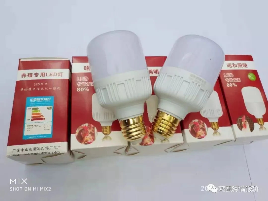 鸡蛋:市场在博弈,淘鸡在观望