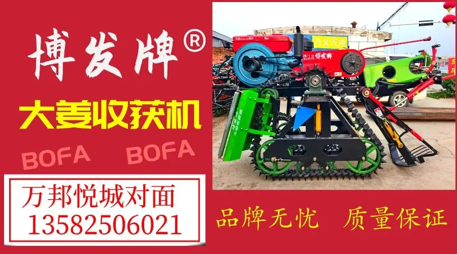 04月14日冀东生姜交易市场生姜参考价格