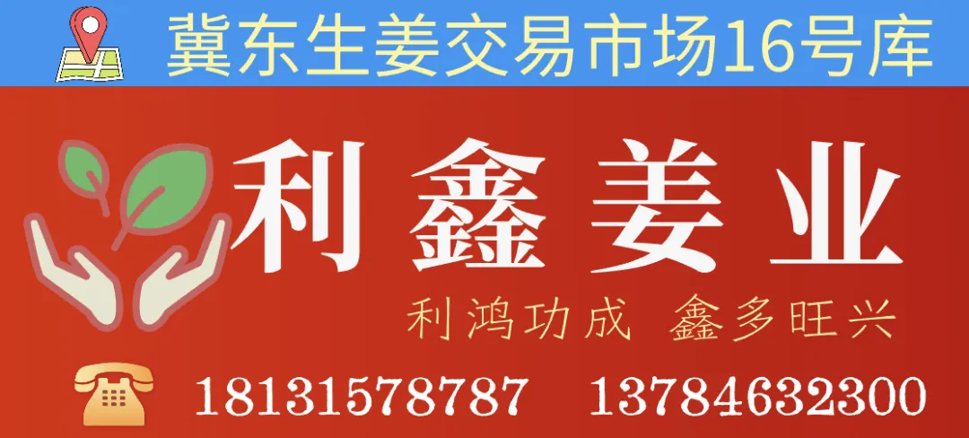 04月14日冀东生姜交易市场生姜参考价格