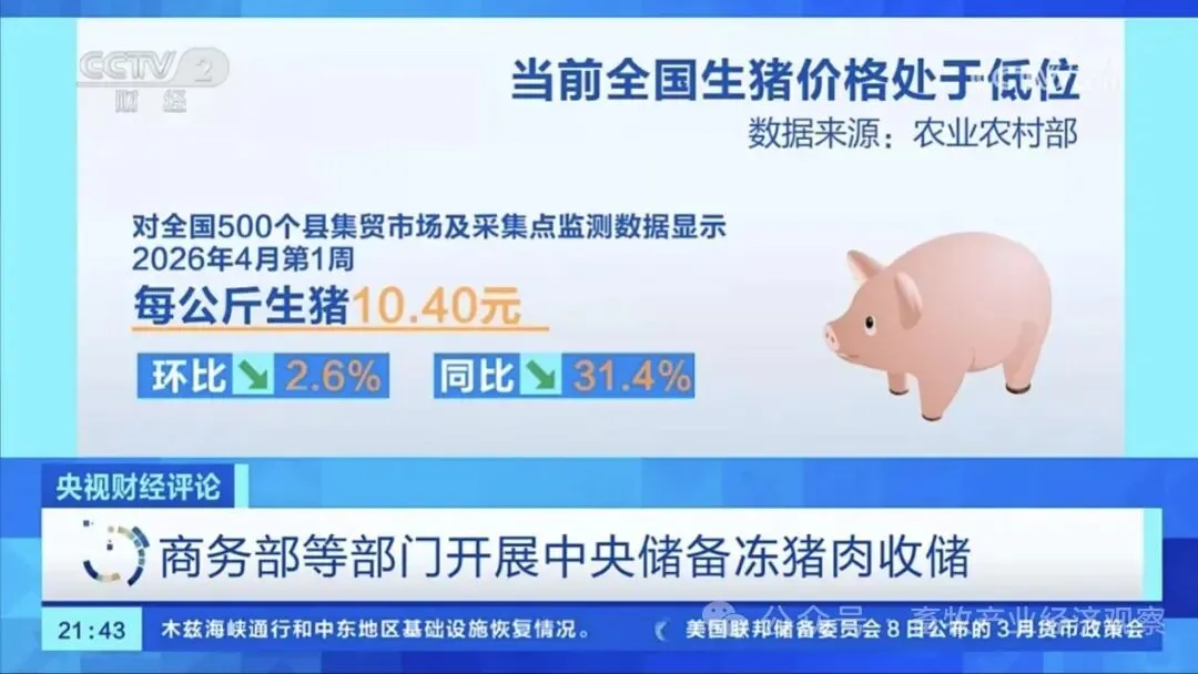 市场资讯 | 猪价跌至七年新低!这轮猪周期怎么回事?