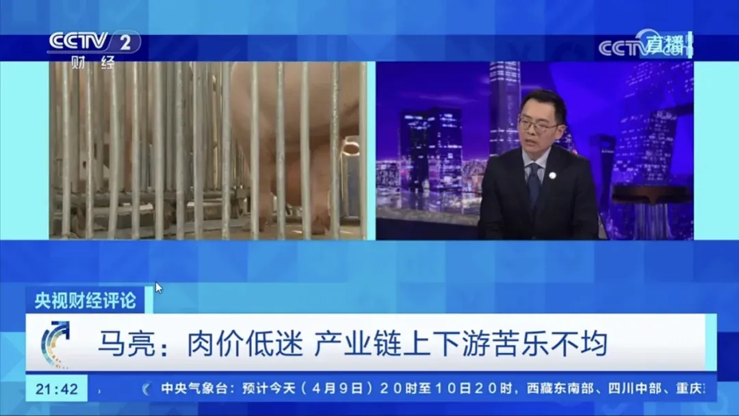 市场资讯 | 猪价跌至七年新低!这轮猪周期怎么回事?