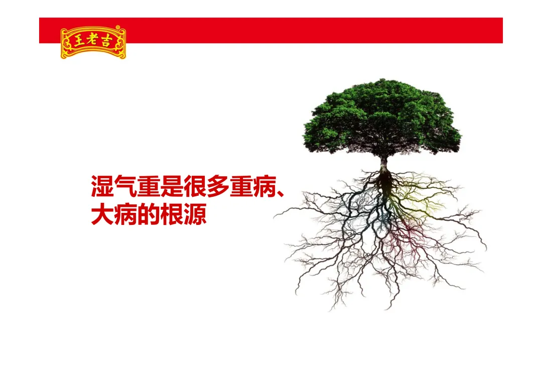 【品牌营销】王老吉凉茶项目推广方案