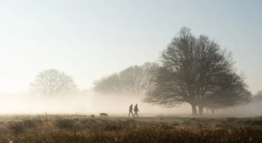 新西兰央行最早5月就会升息?利率市场正在经历集体转向…