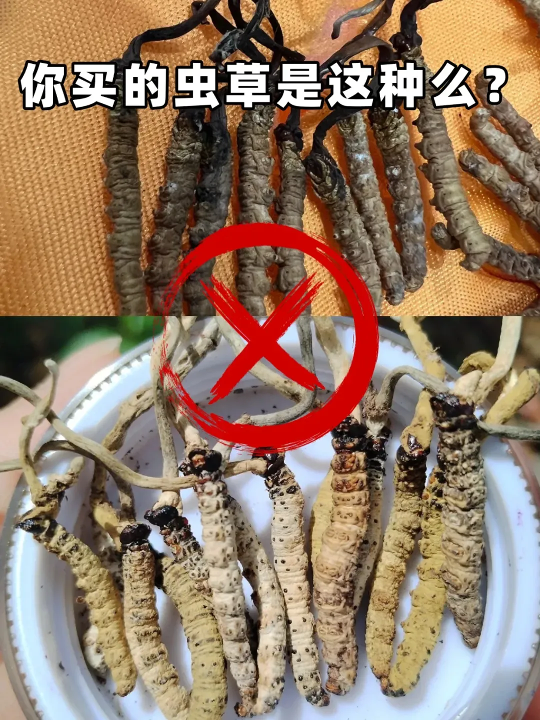 虫草市场的猛料,刺痛了多少中年人